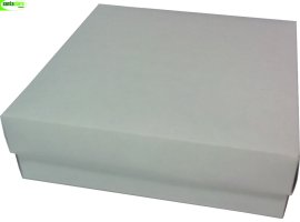 2005_3